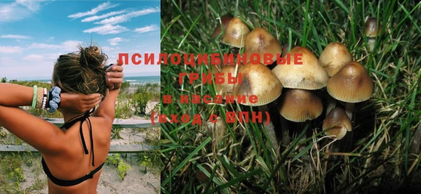 мяу мяу кристалл Богородицк