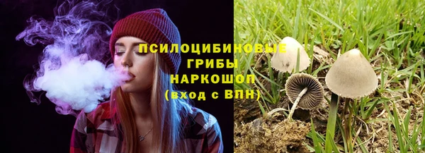 амфетамин Белокуриха