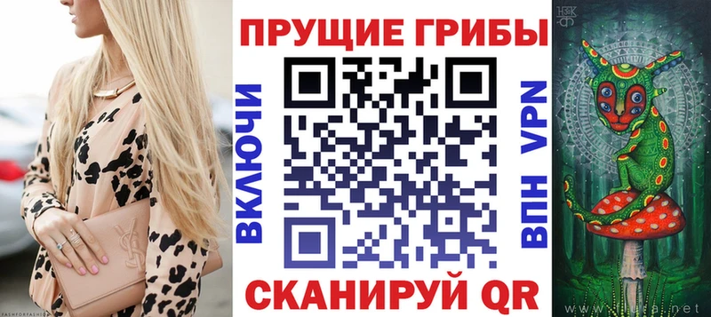 Галлюциногенные грибы Psilocybine cubensis  Бугульма 